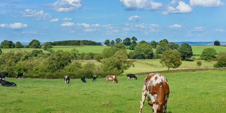 Oproep: restwarmte beschikbaar omgeving Udenhout?